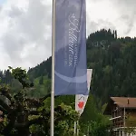Parkhotel Bellevue Budget Hotel Lenk