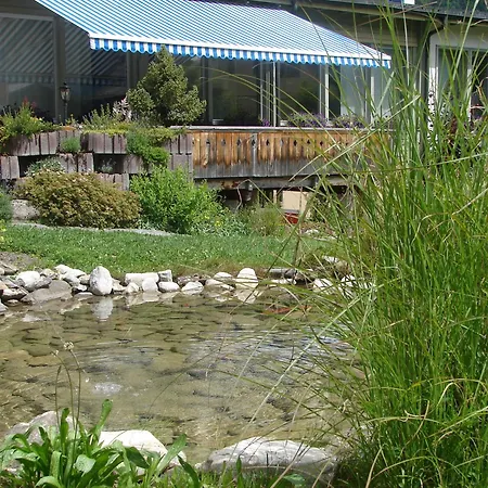 فندق Parkhotel Bellevue Budget لينك