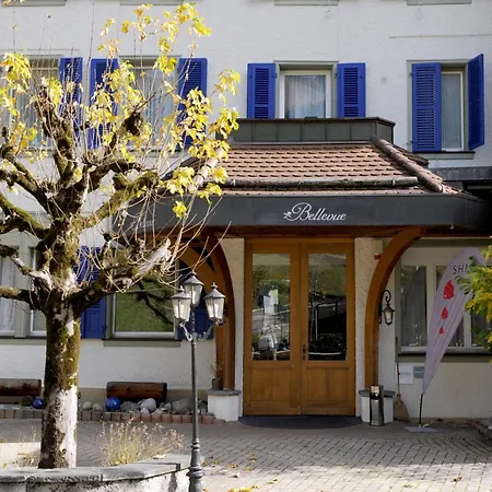 Parkhotel Bellevue Budget 2*