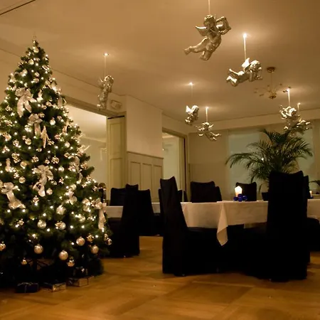 Parkhotel Bellevue Budget מלון 2*