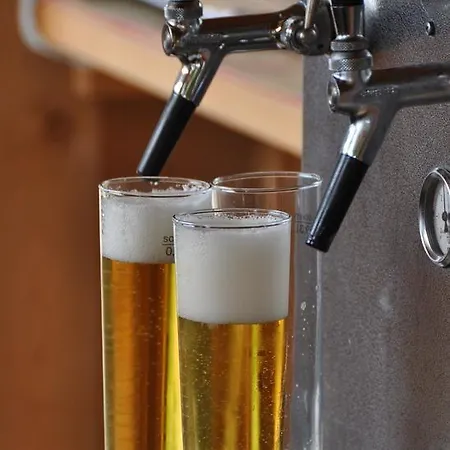 Parkhotel Bellevue Budget 2*