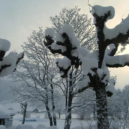 Parkhotel Bellevue Budget