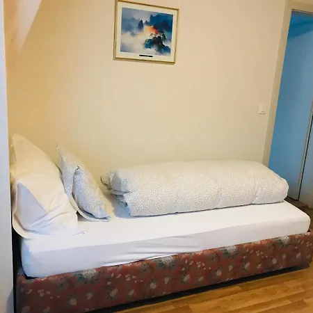 Parkhotel Bellevue Budget فندق