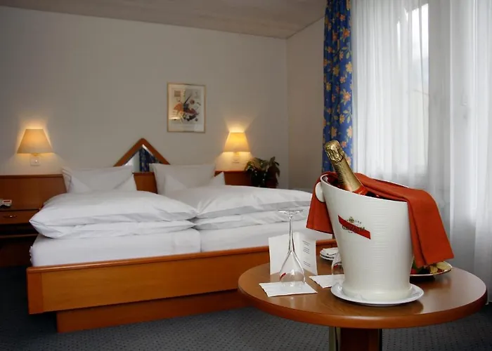 Hotel Parkhotel Bellevue Budget 2*