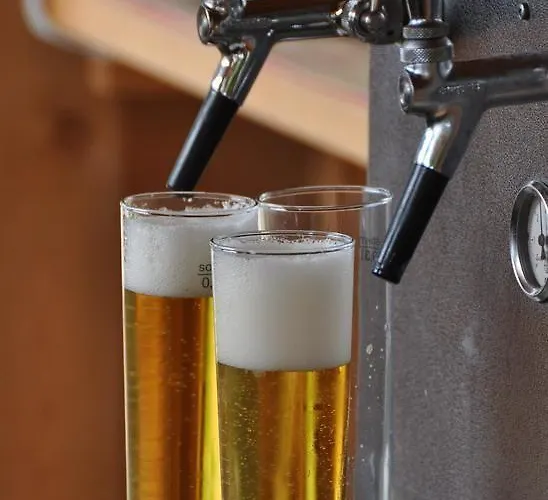 Parkhotel Bellevue Budget 2*