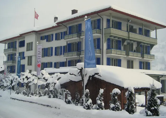 Hotel Parkhotel Bellevue Budget 2*