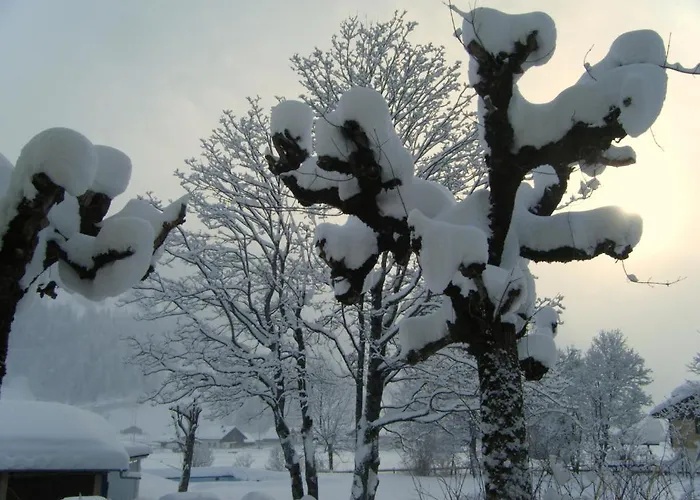 Parkhotel Bellevue Budget