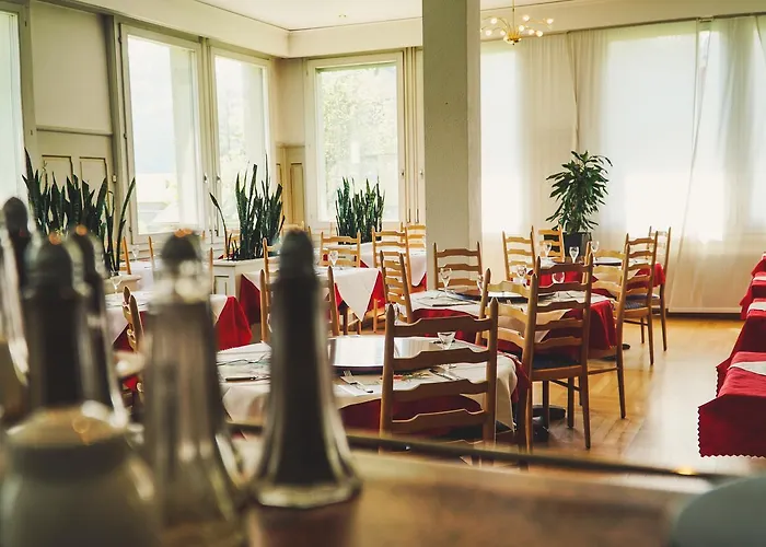 Parkhotel Bellevue Budget