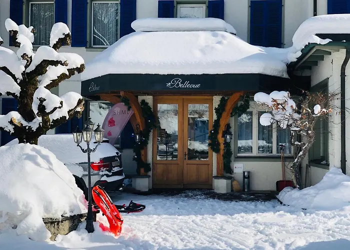 Parkhotel Bellevue Budget Lenk