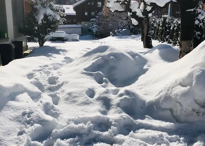 Hotel Parkhotel Bellevue Budget Lenk