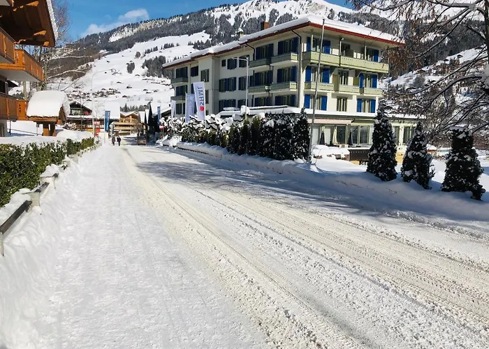 Parkhotel Bellevue Budget Hotel 2*