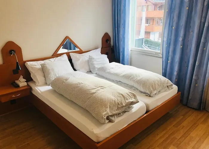 Hotel Parkhotel Bellevue Budget 2*