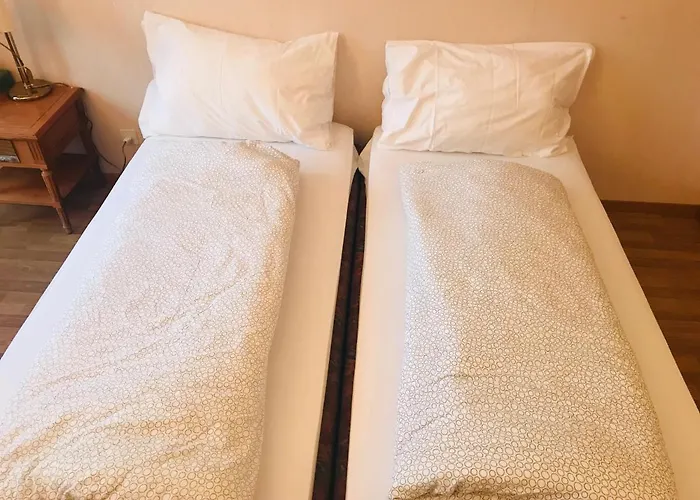 Parkhotel Bellevue Budget 2*