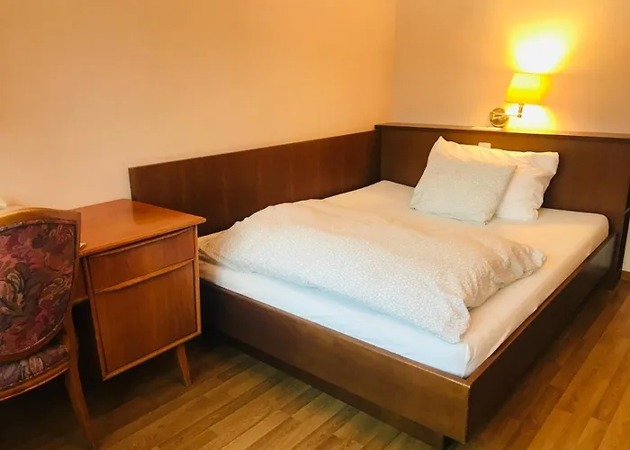 Parkhotel Bellevue Budget Hotel Lenk