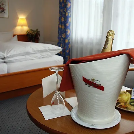 Parkhotel Bellevue Budget Otel