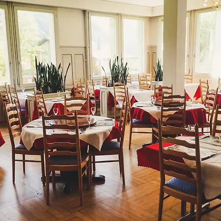 Parkhotel Bellevue Budget 2* レンク