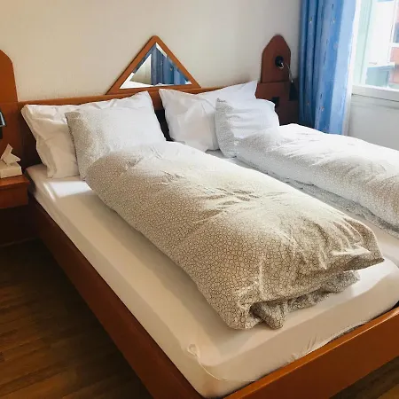 Parkhotel Bellevue Budget 3* Lenk