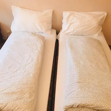 Parkhotel Bellevue Budget 3*