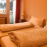 Parkhotel Bellevue Budget 2*